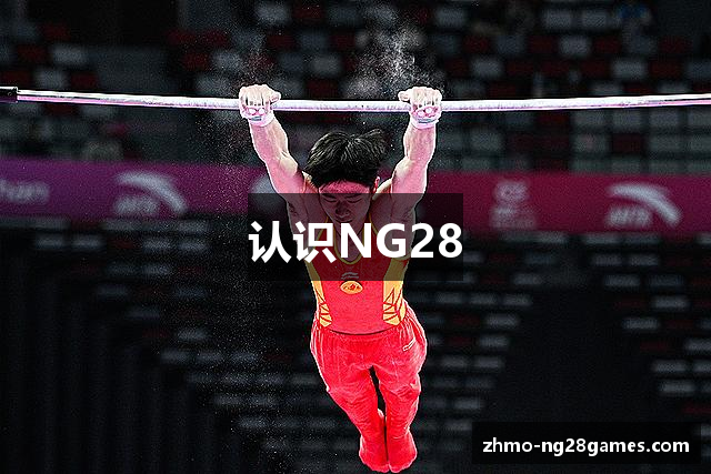 认识NG28